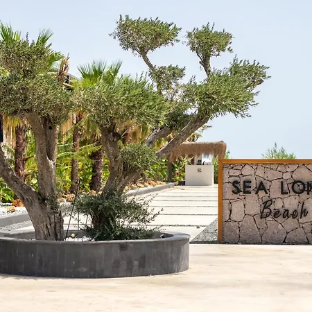 Sea Long